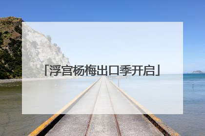 浮宫杨梅出口季开启